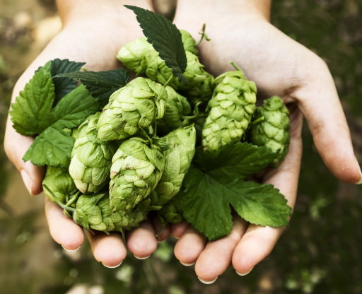 How data travels faster and better between suppliers and retailers image